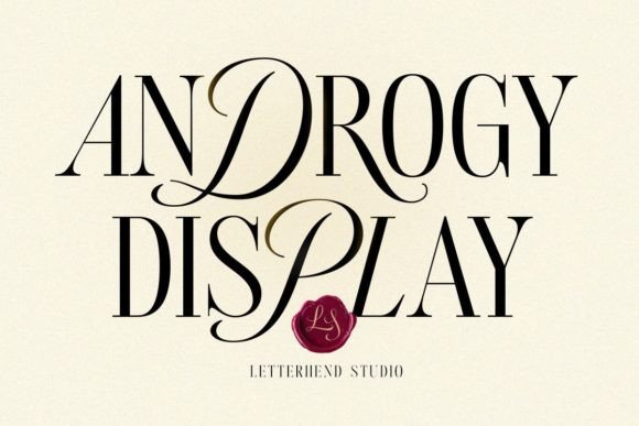 Androgy Display: A Serif That Speaks With Quiet Confidence