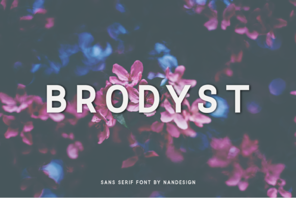 Brodyst: A Clean Sans Serif Font That Elevates Real Business Branding