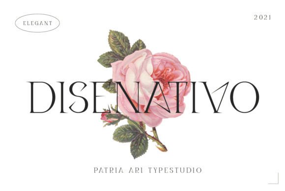 Disenativo: A Slab Serif Font That Elevates Campaign Headlines