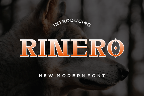 Rinero: A Serif Font That Anchors Editorial Calm